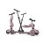 Highwaykick 1 kismotor push and go Wildberry