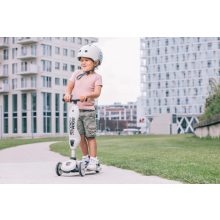 Scoot and Ride Highwaykick1.  2 in 1 kismotor/roller  Ash 