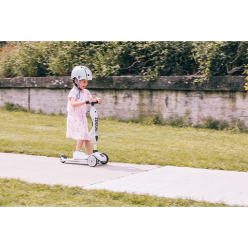 Scoot and Ride Highwaykick1.  2 in 1 kismotor/roller  Ash 